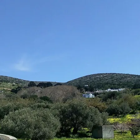 Prázdninový dům Traditional House Paros