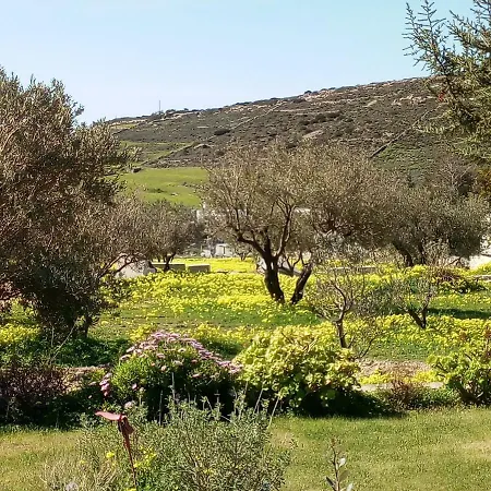 Prázdninový dům Traditional House Paros