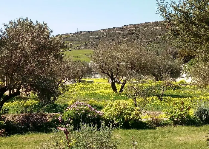 Σπίτι διακοπών Traditional House Paros